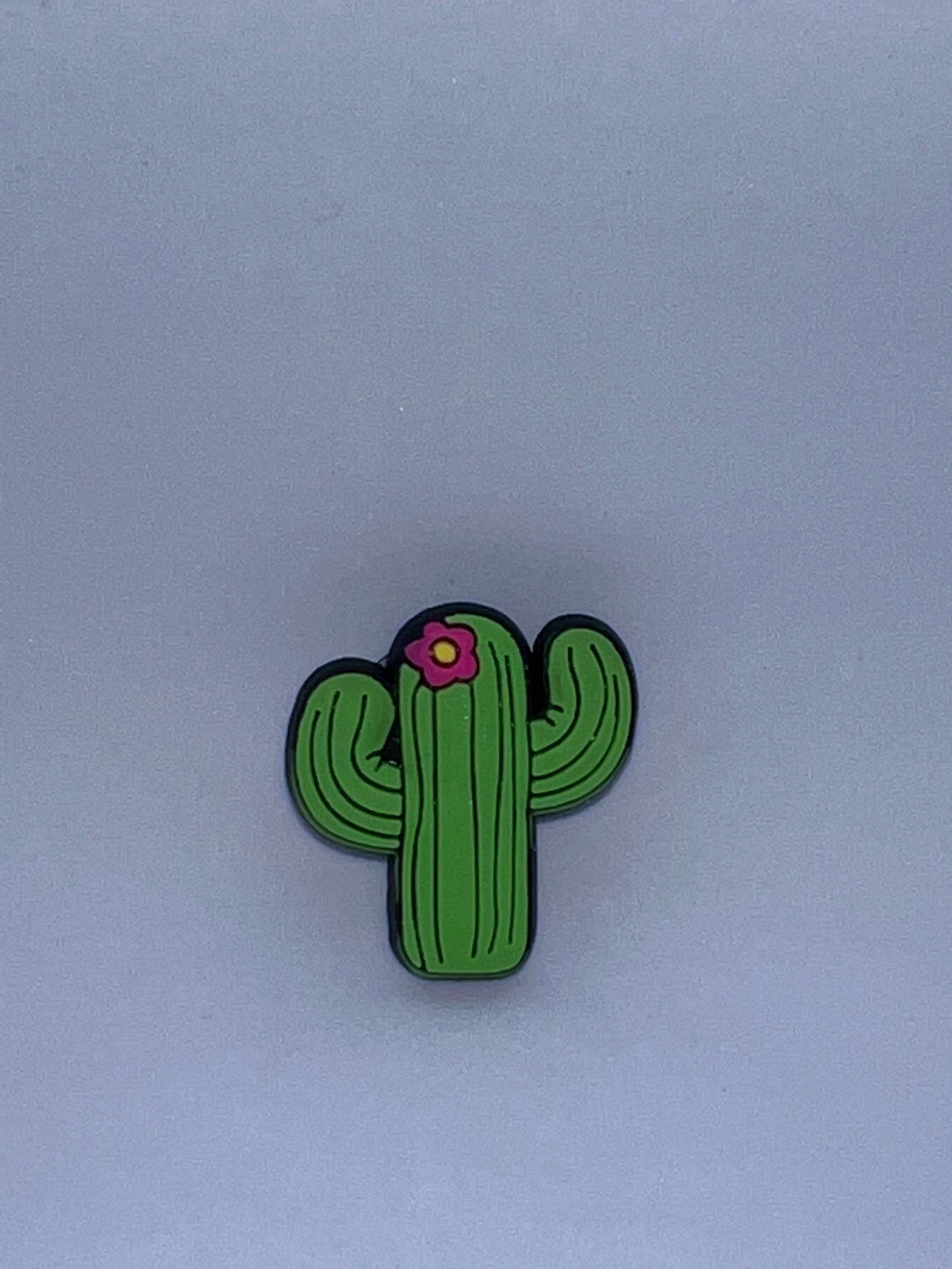 Croc Charms