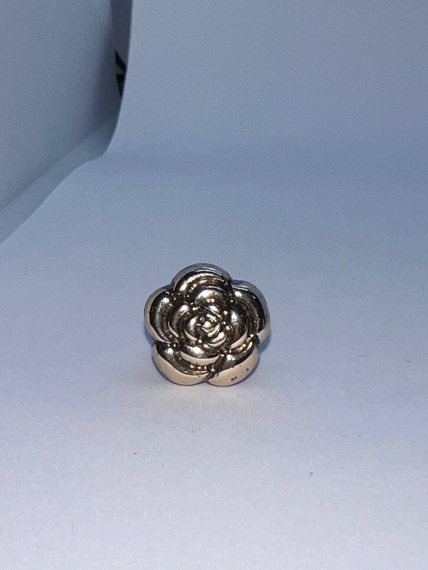 Shoe lace charms